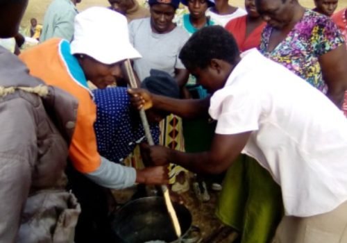 The Tamuka Self Help Group- Empowering Rural Women